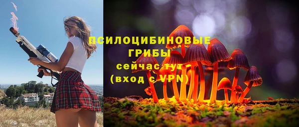 2c-b Абаза