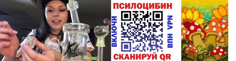 купить наркотик  Заволжье  Псилоцибиновые грибы GOLDEN TEACHER 